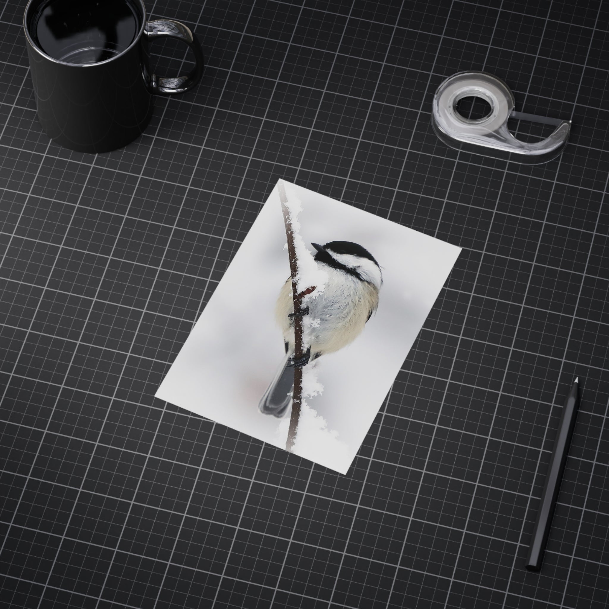 Black Capped Chickadee - 5x7 Prints