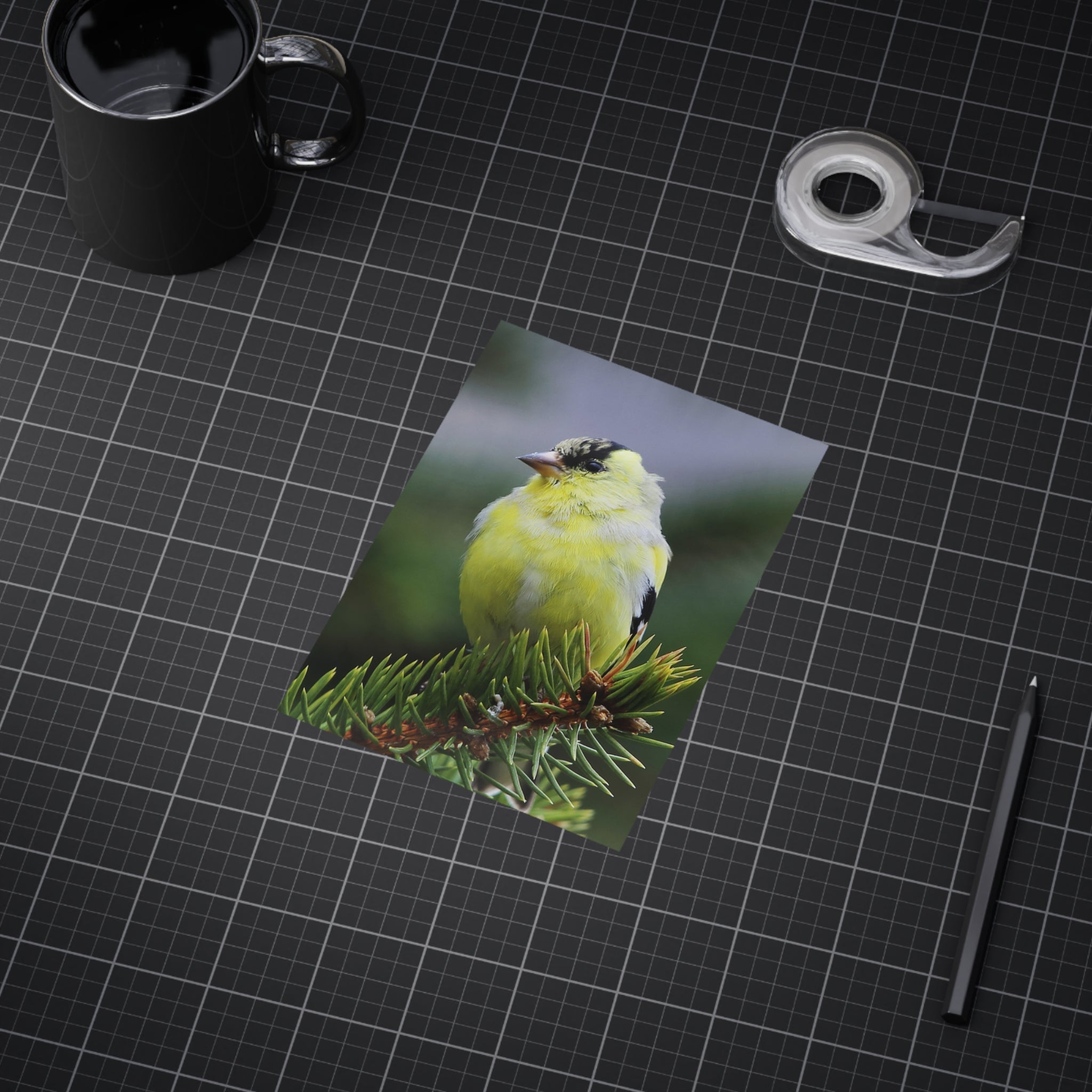 Goldfinch - 5x7 Prints