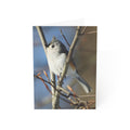 tufted titmouse greeting card