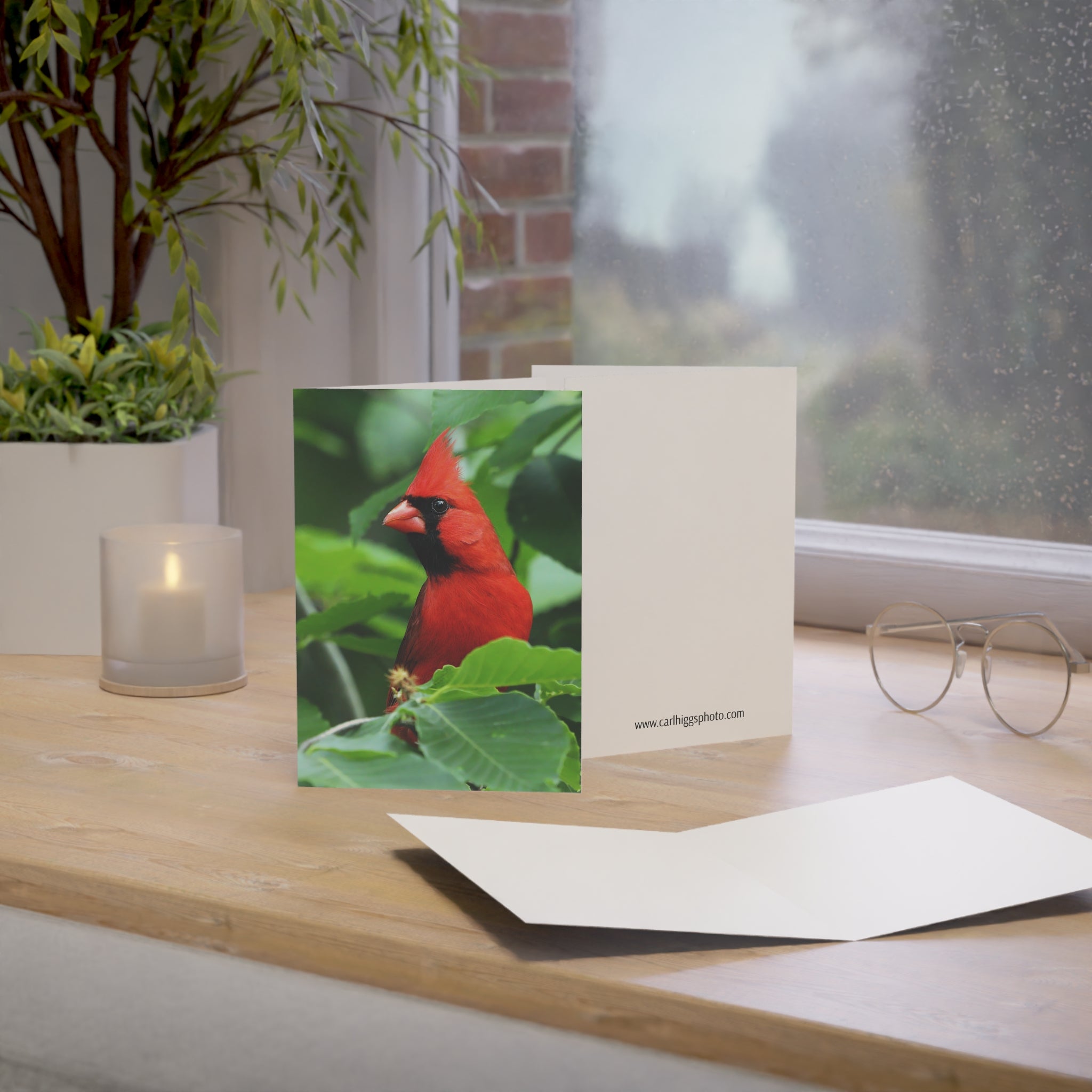 northern cardinal greeting card