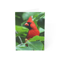 northern cardinal greeting card