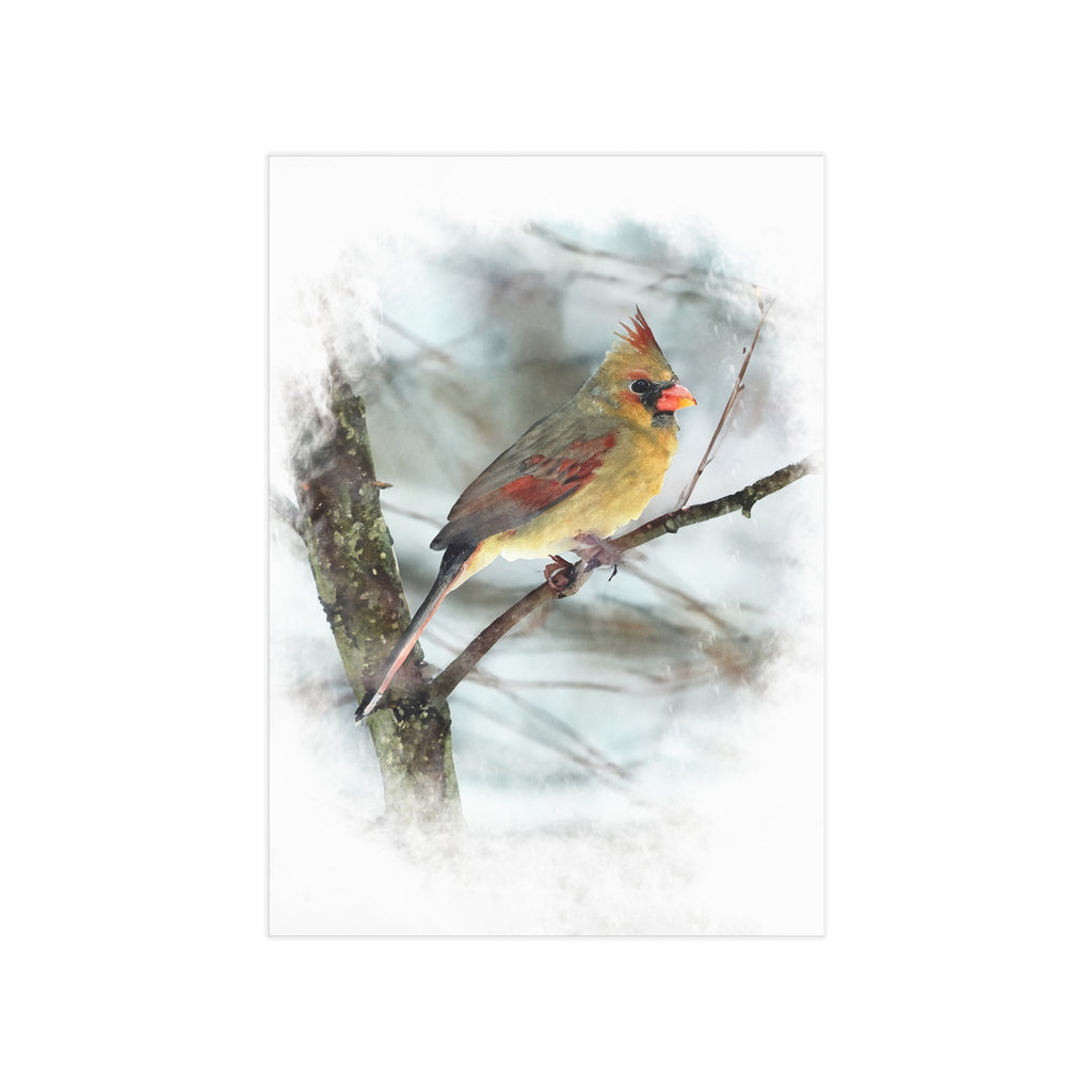 Norther Cardinal Female Painterly - 5x7 Prints