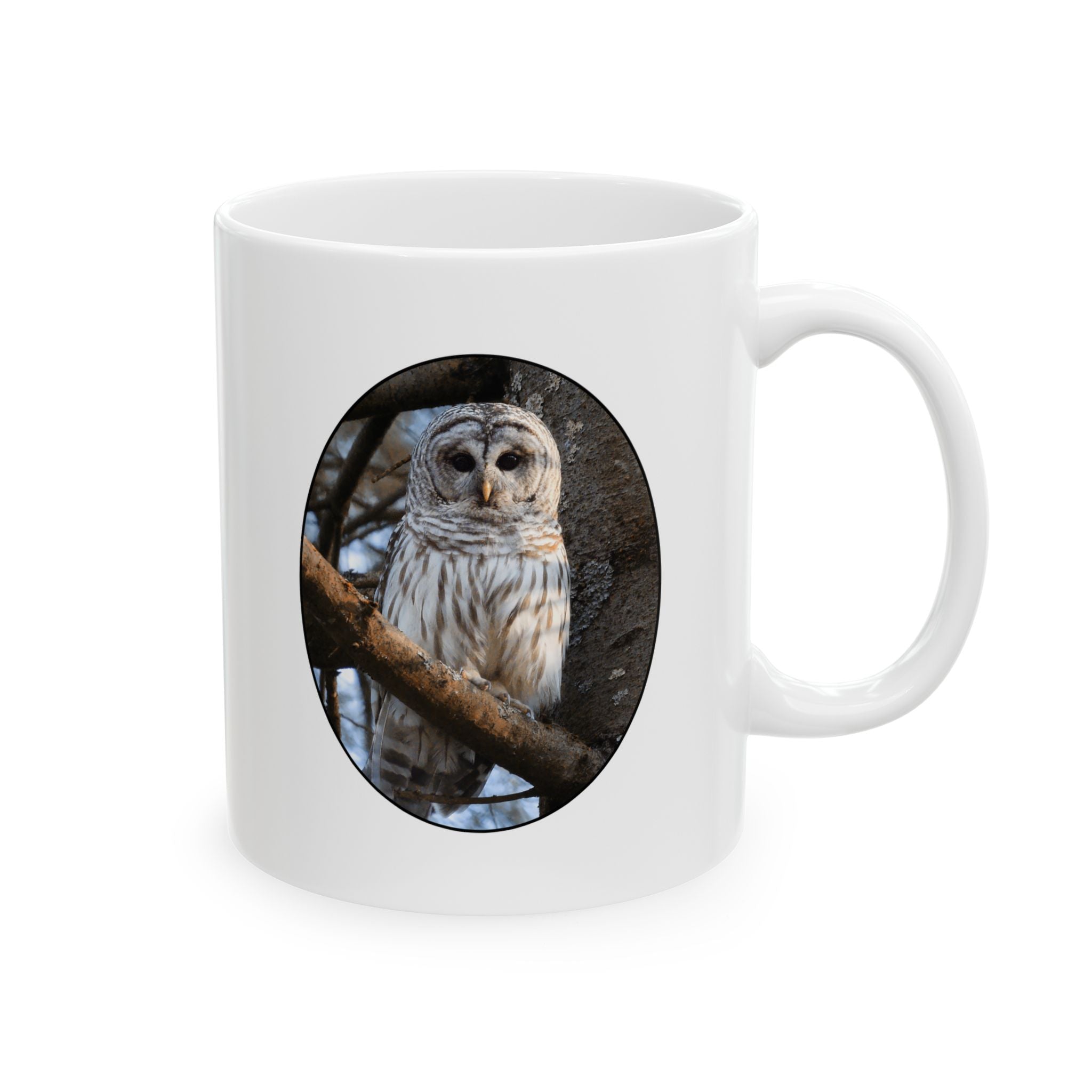 Barred Owl - 11oz Mug