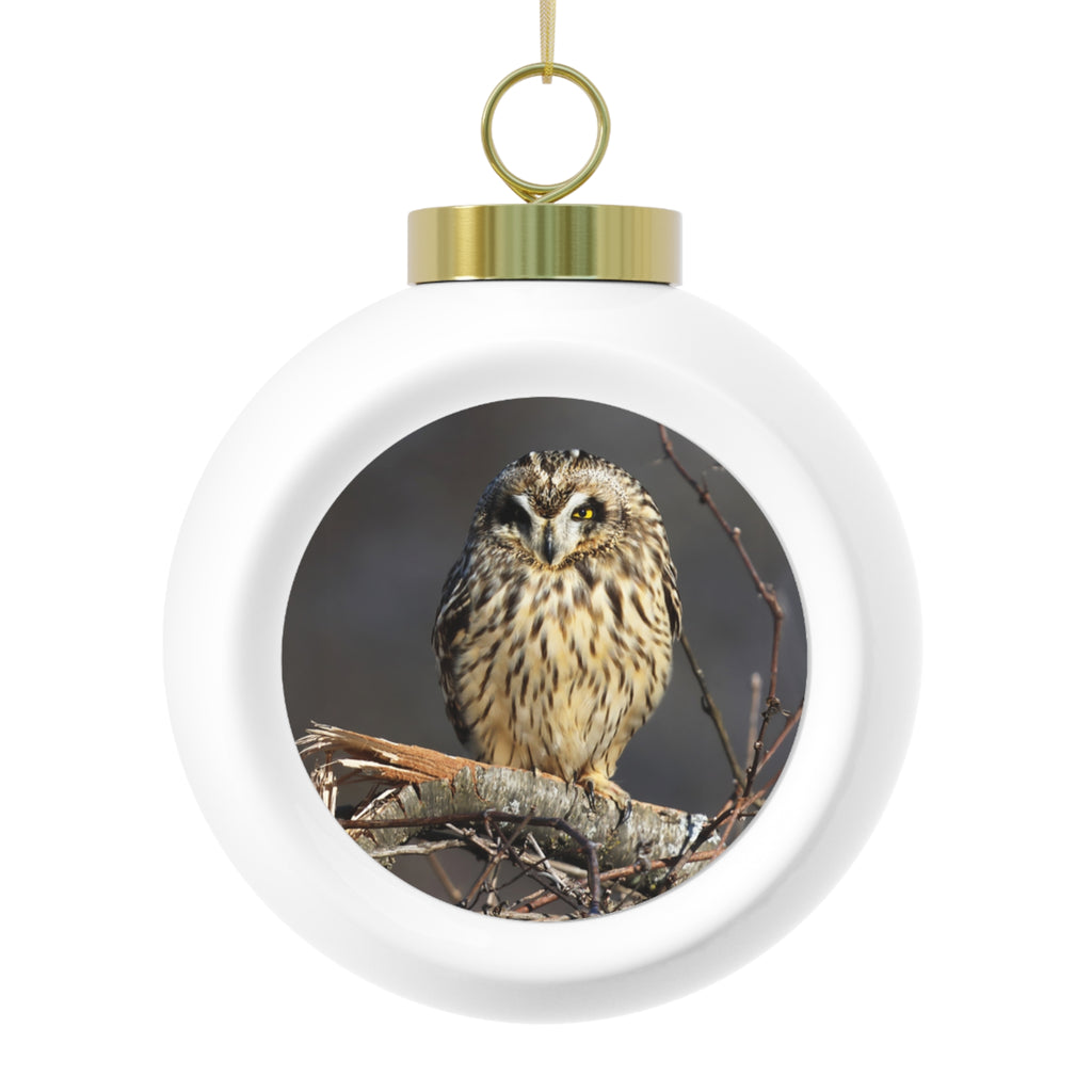 Short-eared Owl - Christmas Ball Ornament