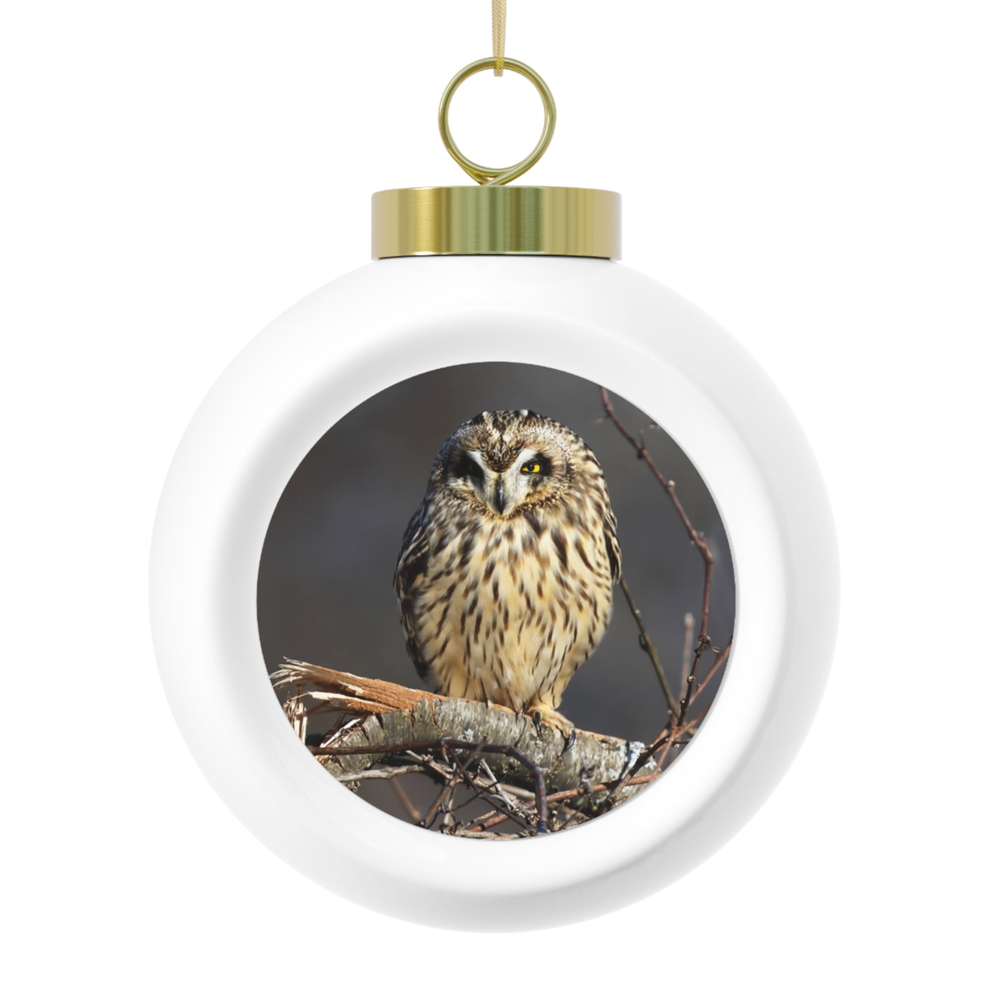 Short-eared Owl - Christmas Ball Ornament