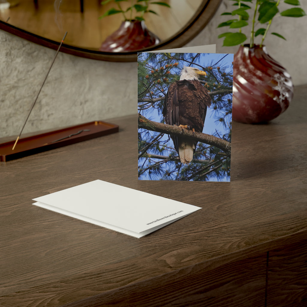bald eagle greeting card
