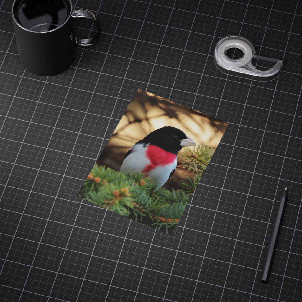 Red-breasted Grosbeak - 5x7 Prints
