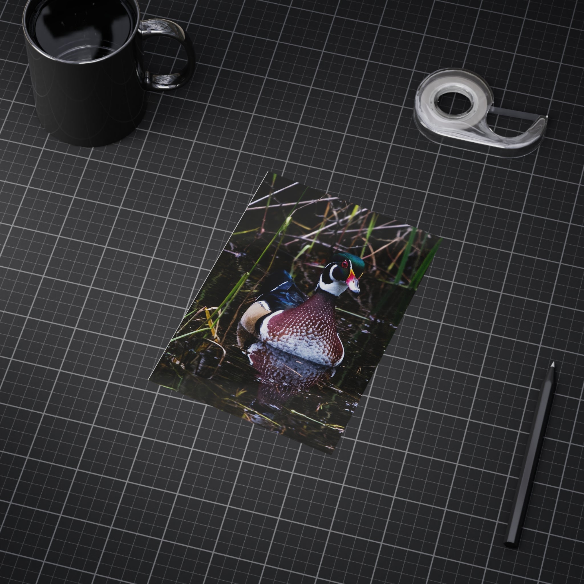 Wood Duck - 5x7 Prints