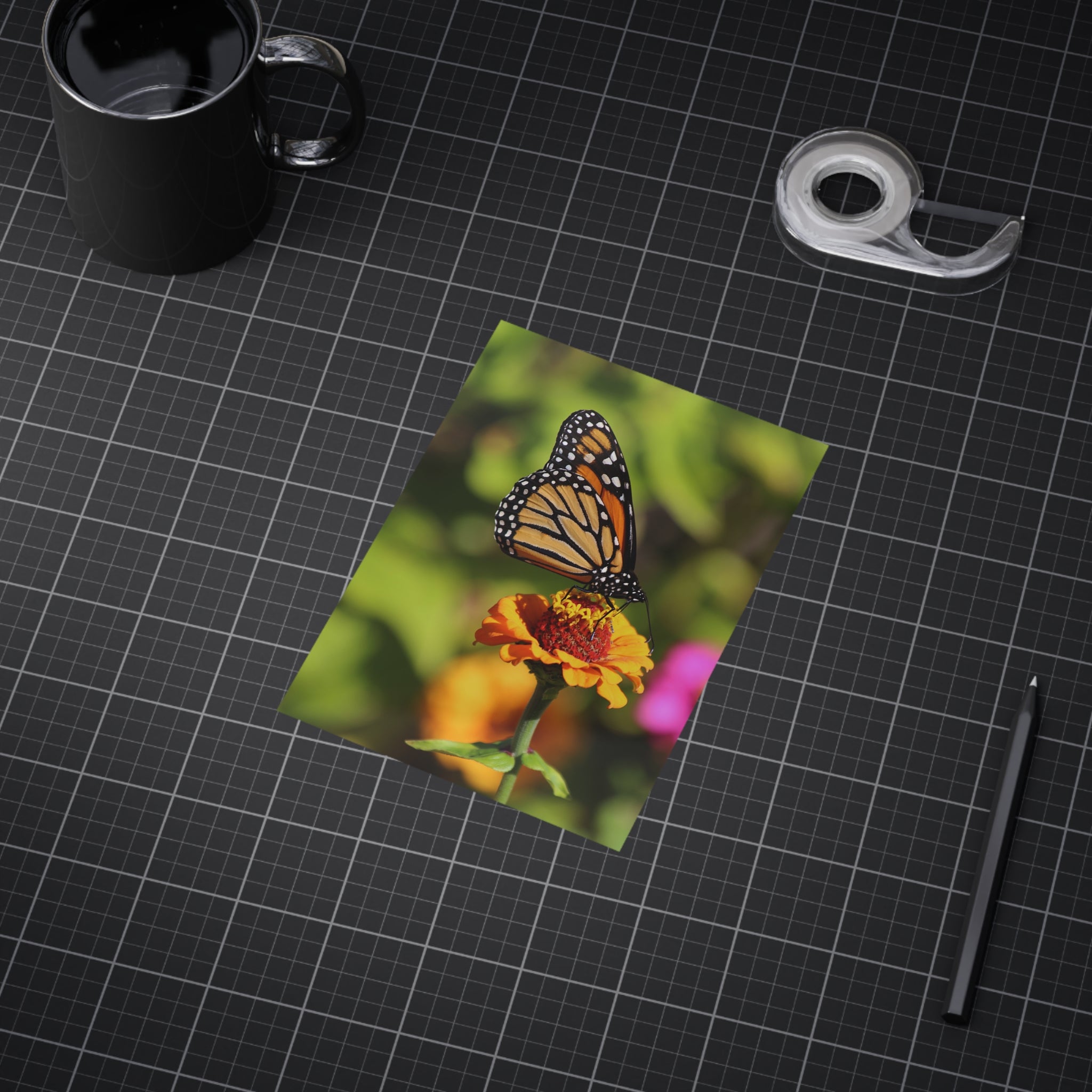 Monarch Butterfly - 5x7 Prints