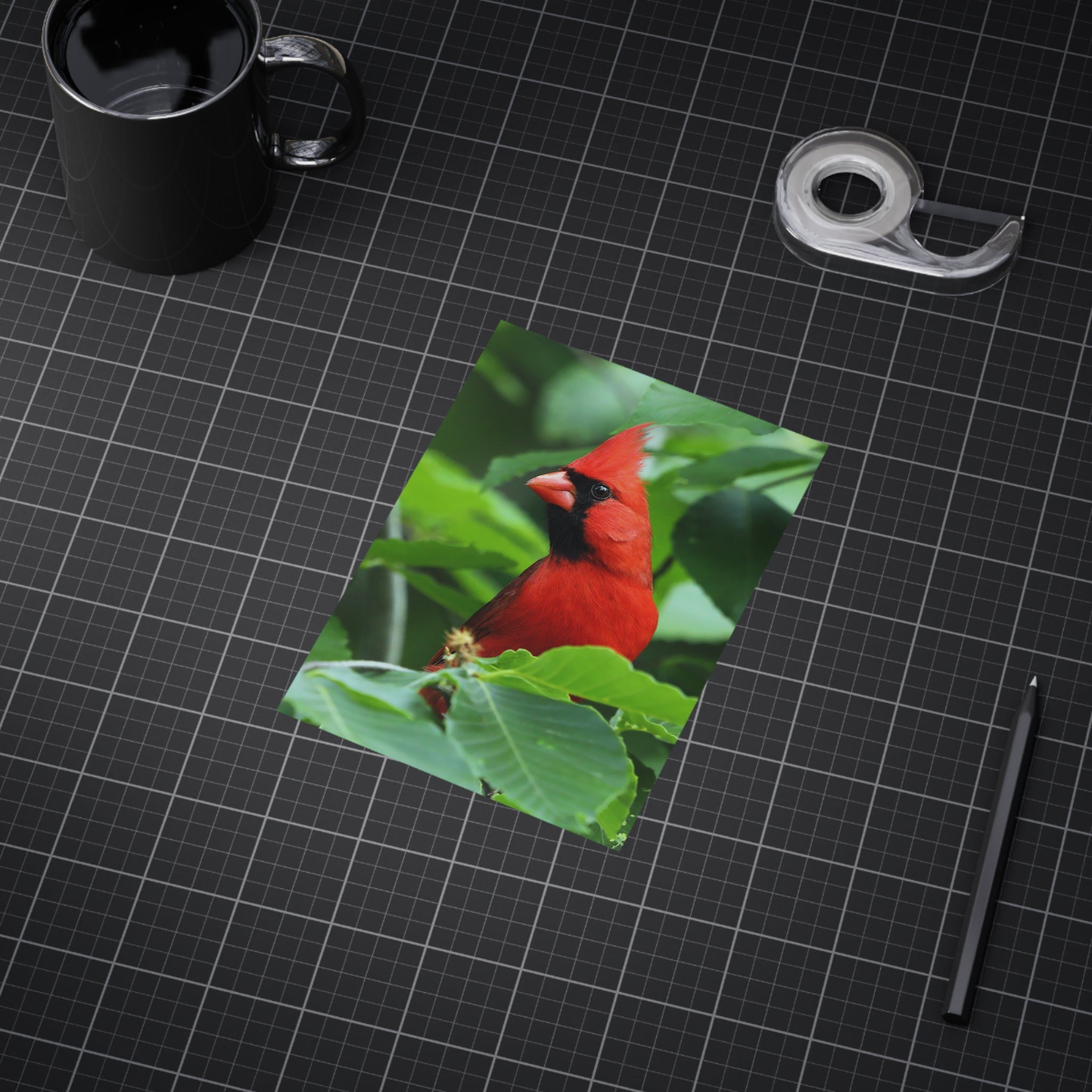 northern cardinal photo print