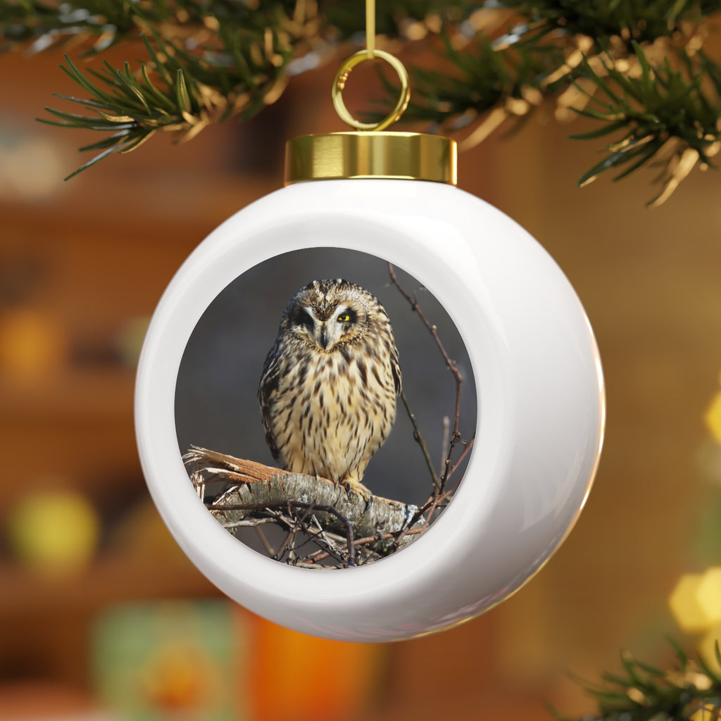 Short-eared Owl - Christmas Ball Ornament