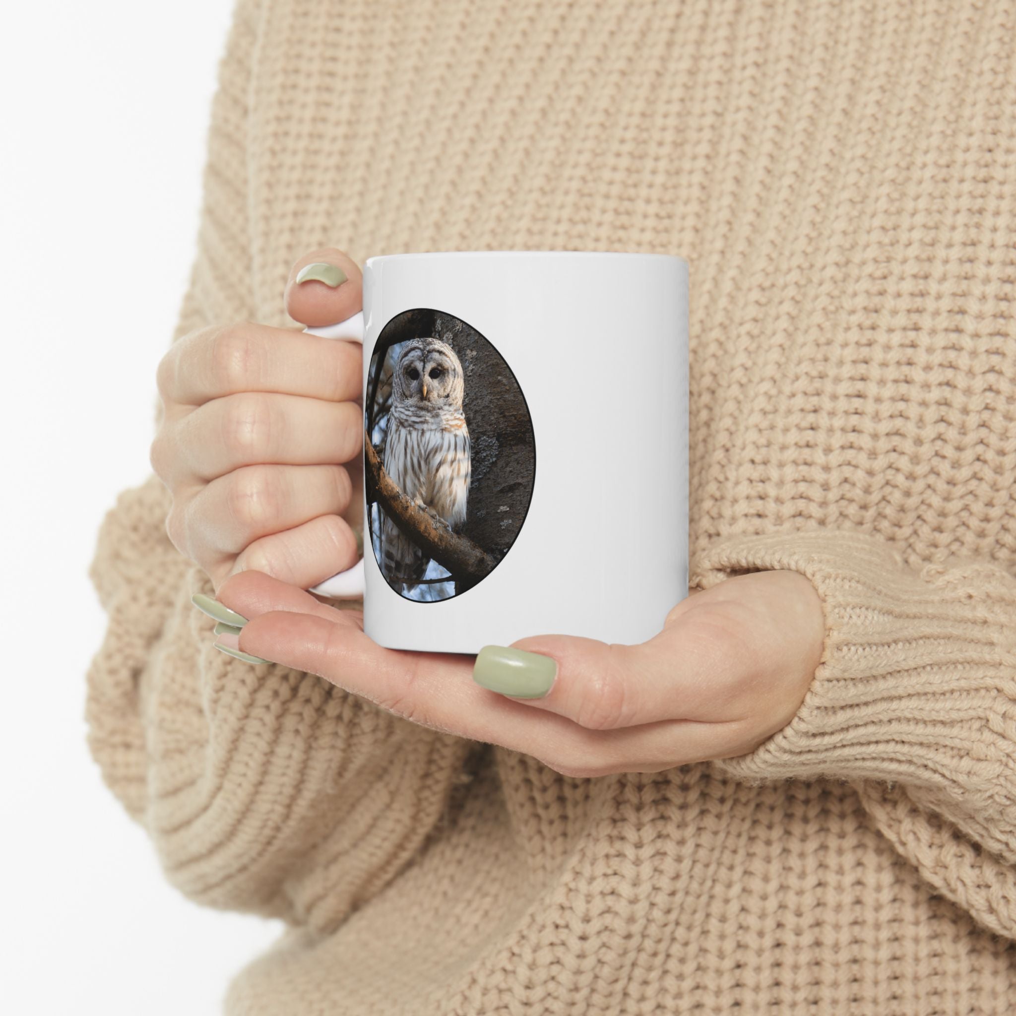 Barred Owl - 11oz Mug