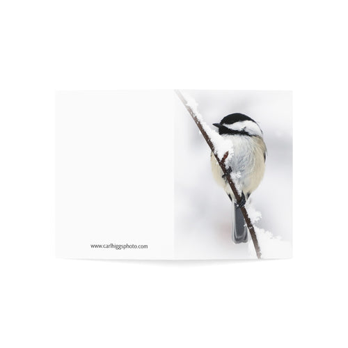 Black Capped Chickadee - Greeting Cards (1, 10, 30, and 50pcs)