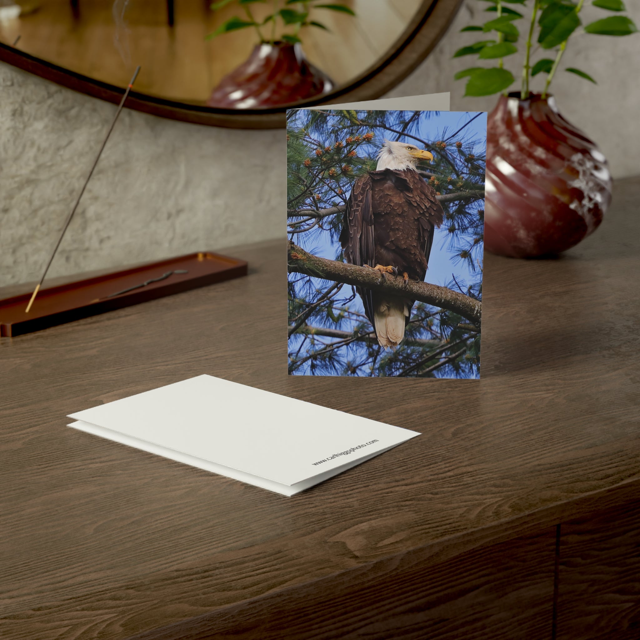 Bald Eagle - Greeting Cards (1, 10, 30, and 50pcs)