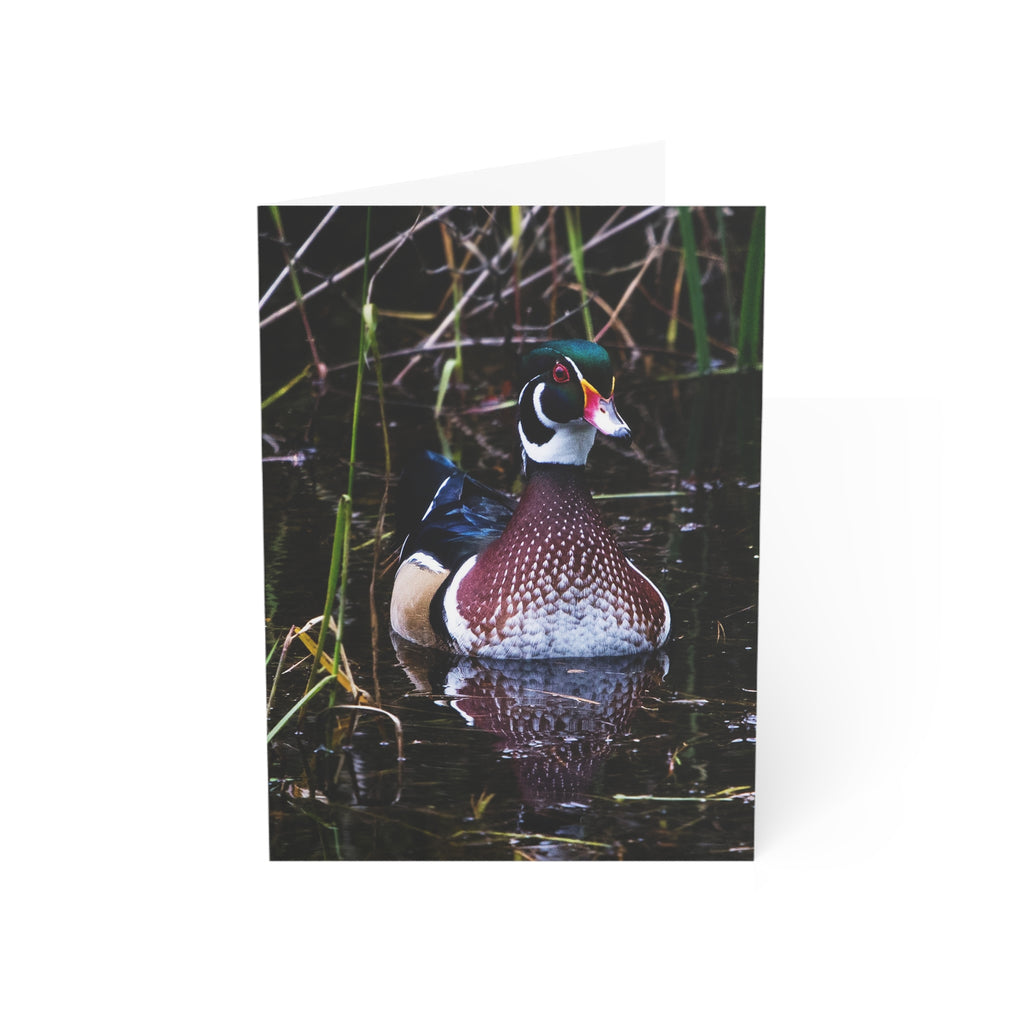 wood duck greeting card