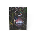 wood duck greeting card