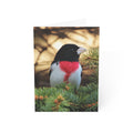 rose-breasted grosbeak greeting card