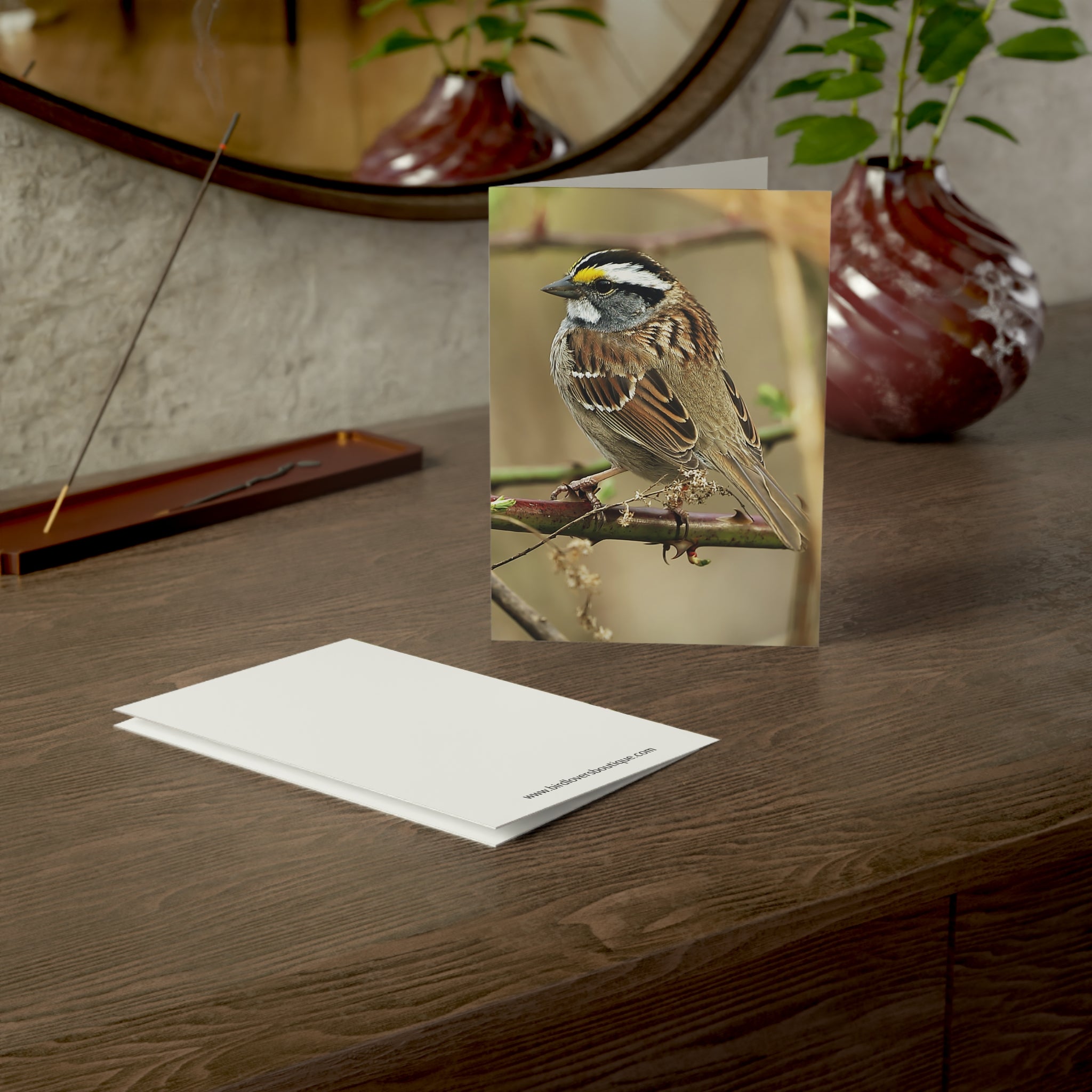 white-throat sparrow greeting card