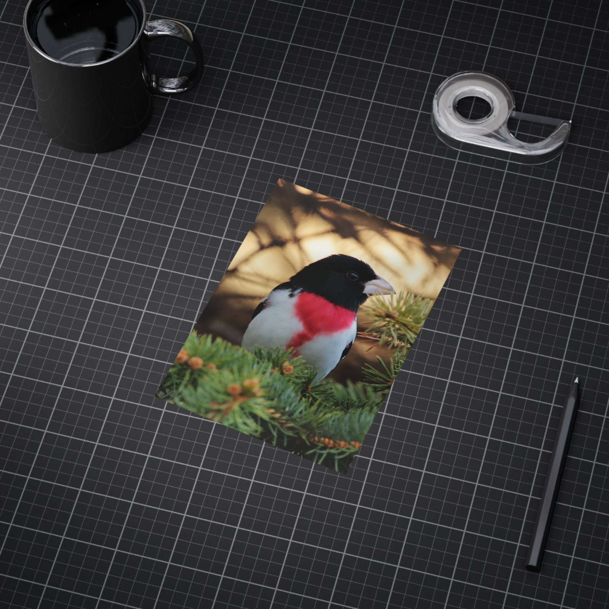Red-breasted Grosbeak - 5x7 Prints