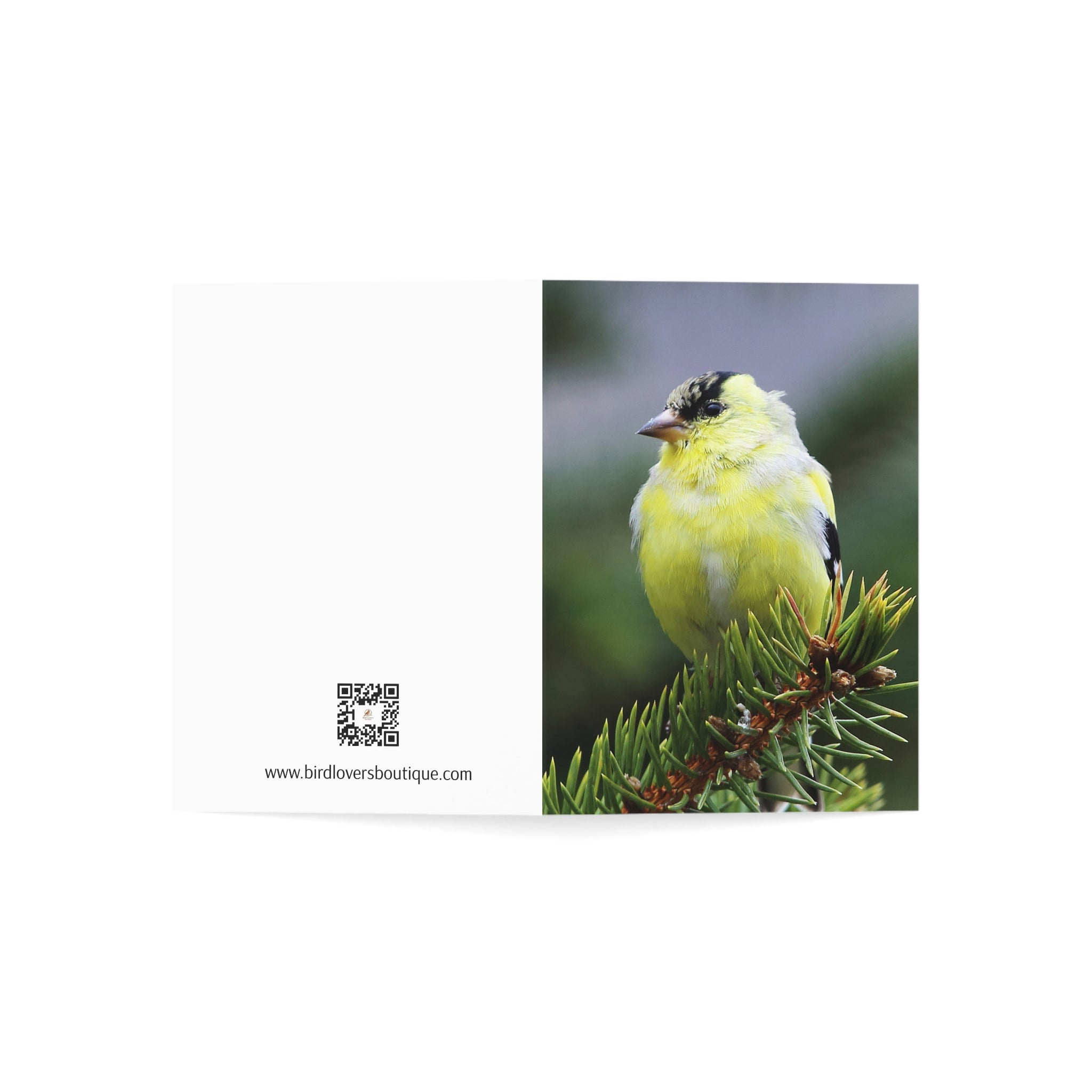 goldfinch greeting card