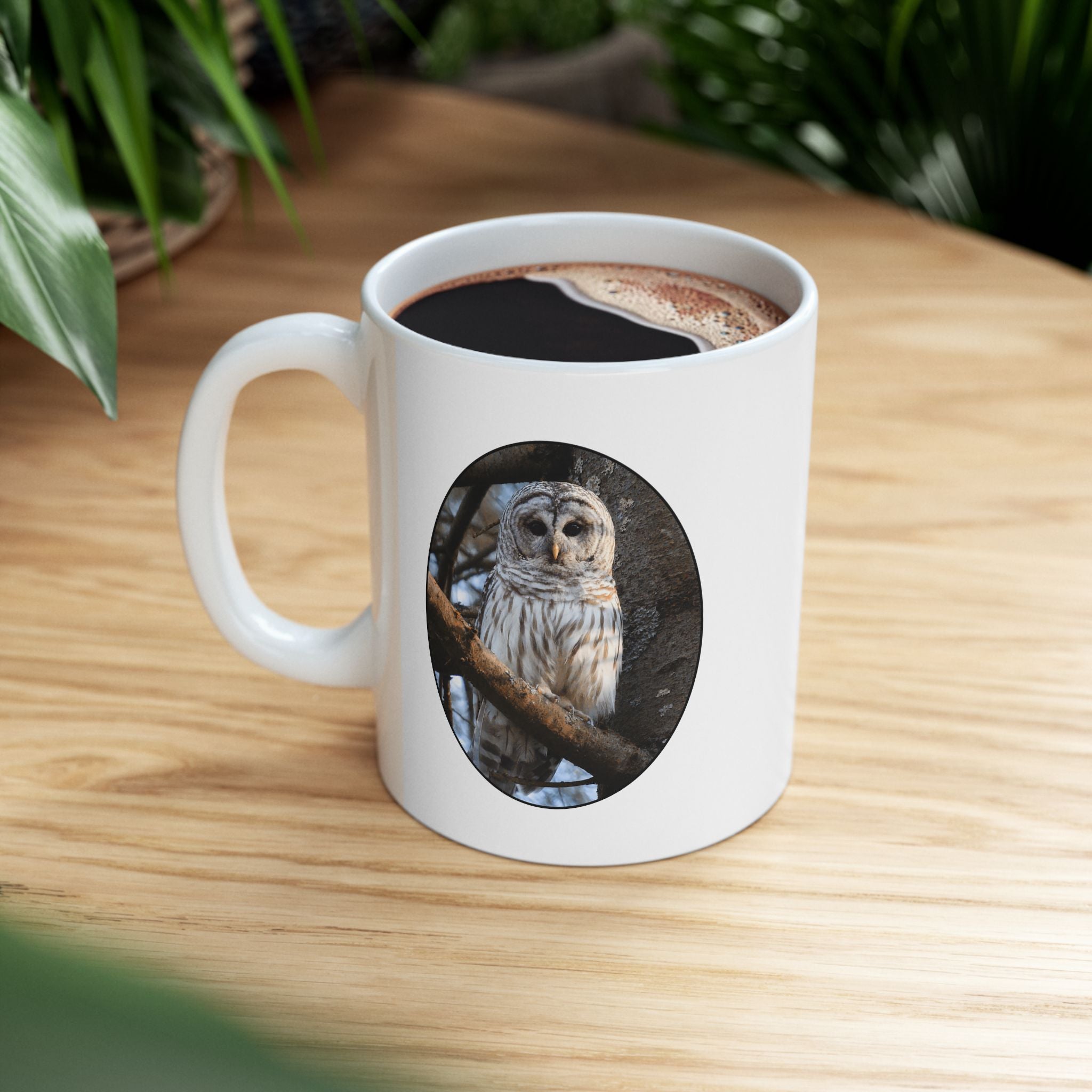 Barred Owl - 11oz Mug