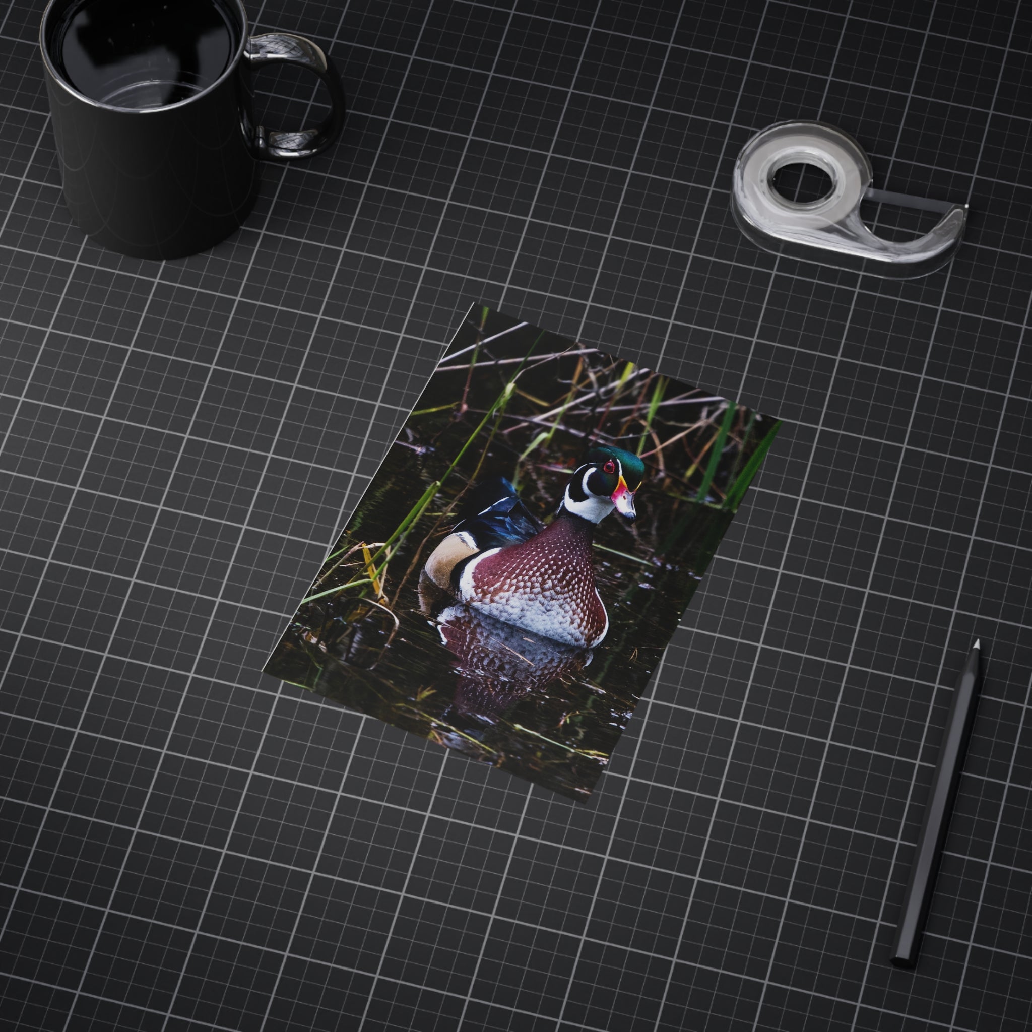 Wood Duck - 5x7 Prints