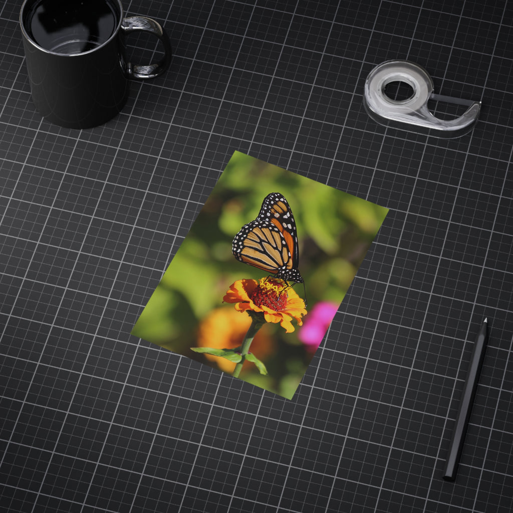 Monarch Butterfly - 5x7 Prints