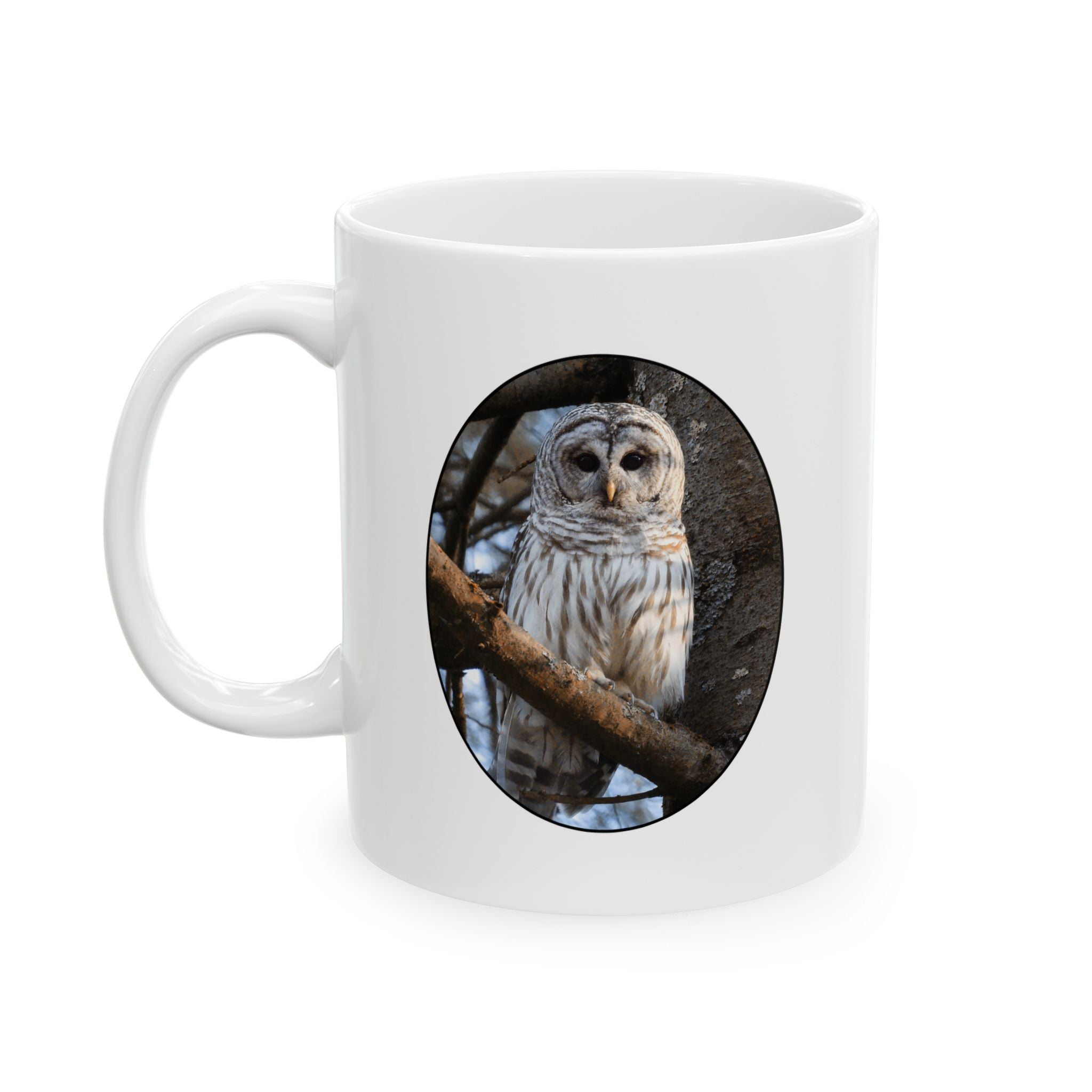 Barred Owl - 11oz Mug