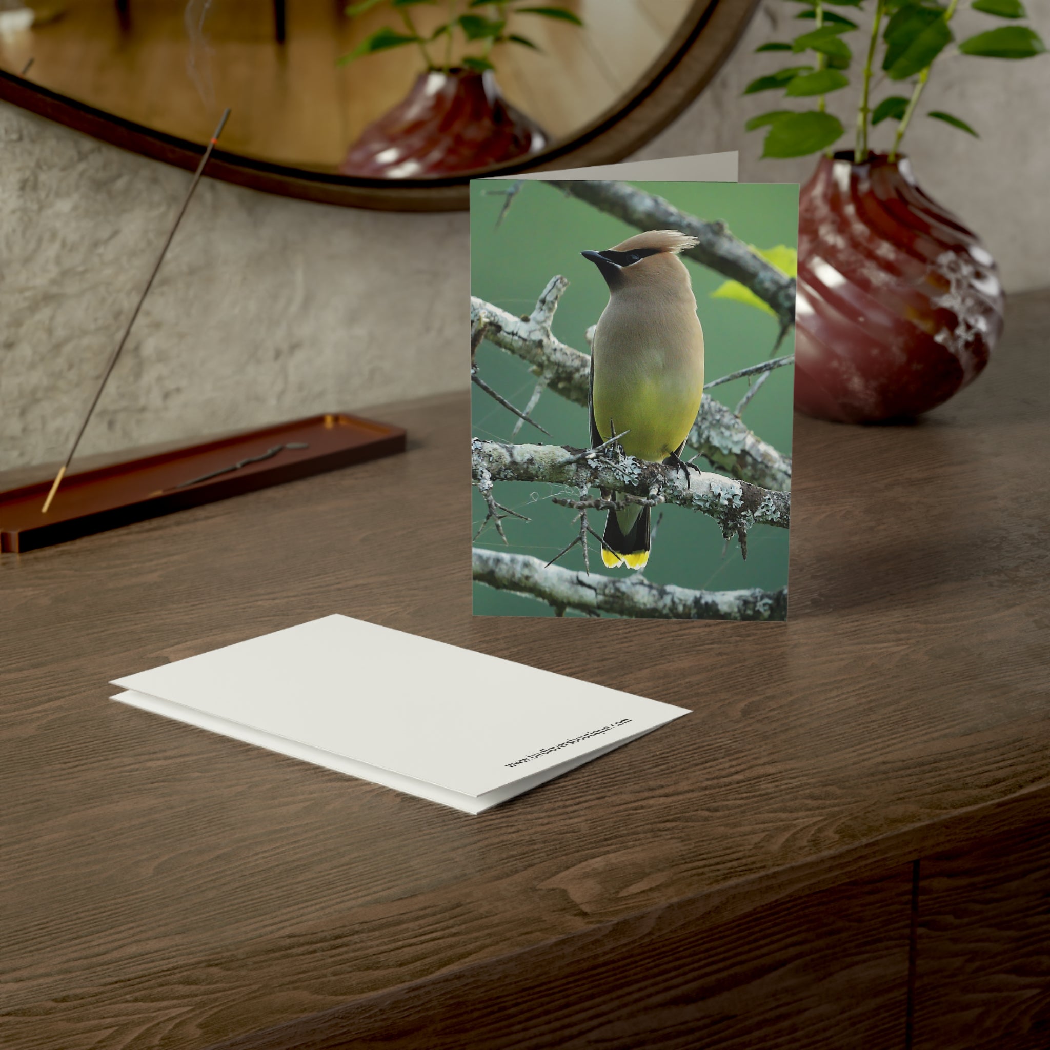 cedar waxwing greeting card