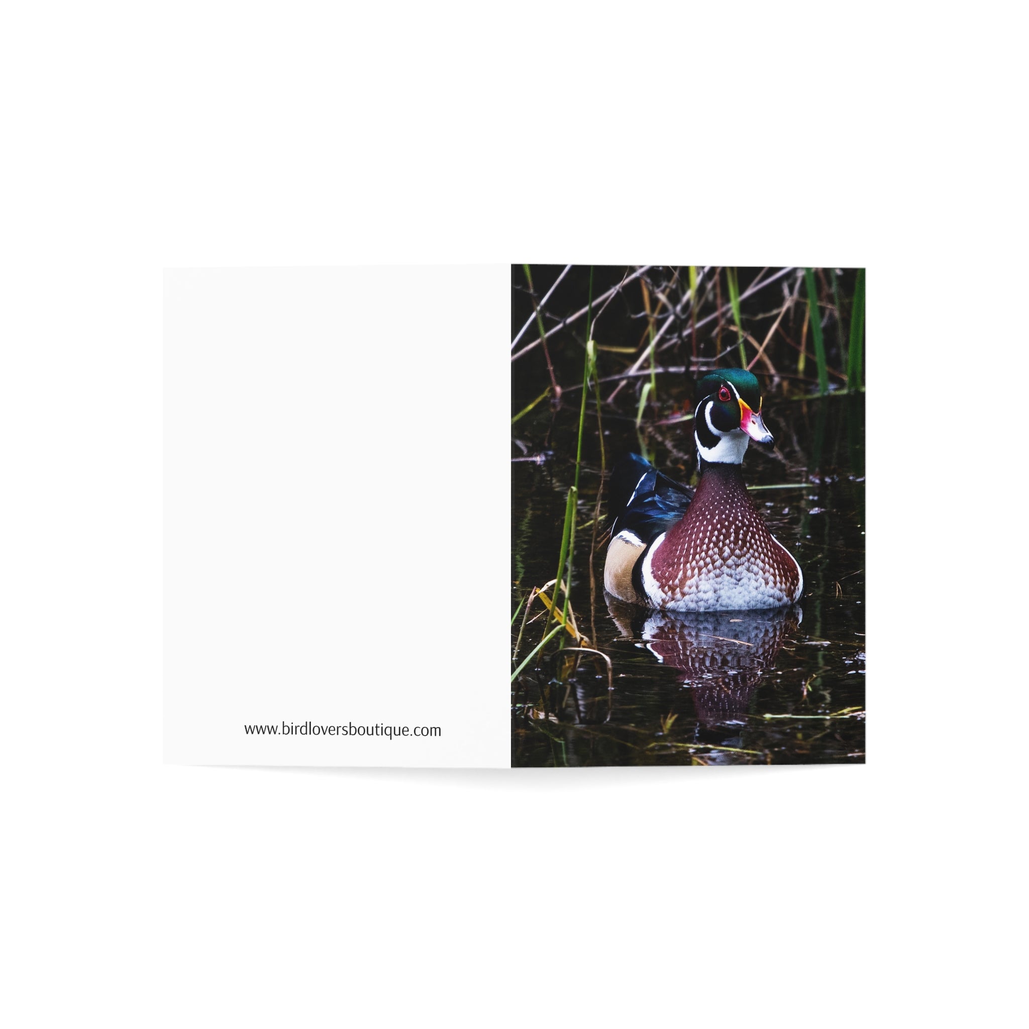 wood duck greeting card