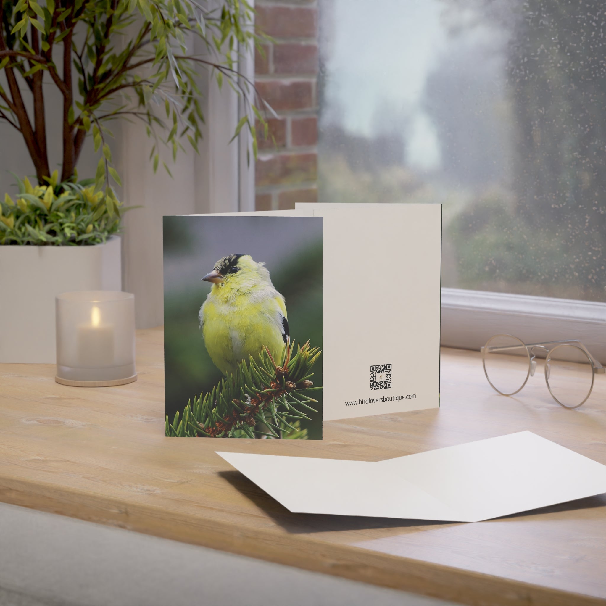 goldfinch greeting card