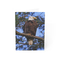 bald eagle greeting card