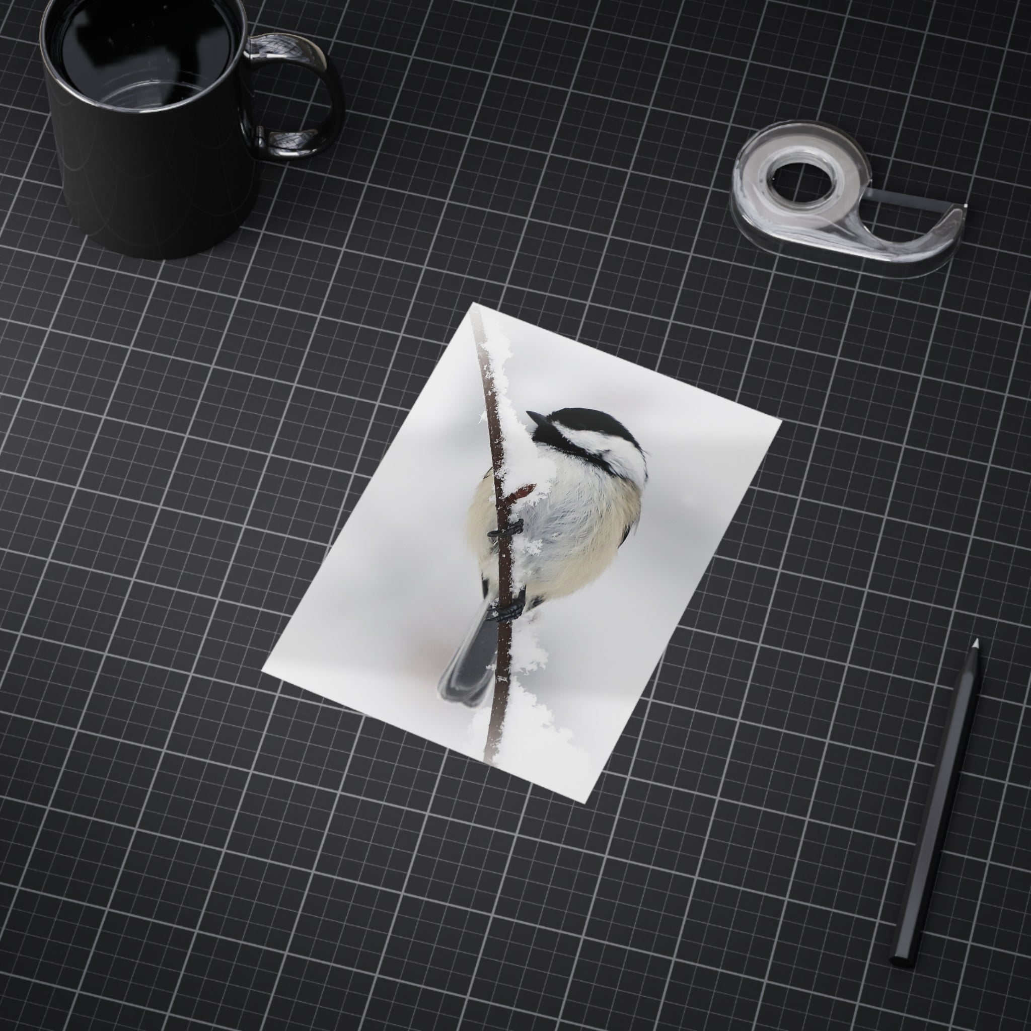 Black Capped Chickadee - 5x7 Prints