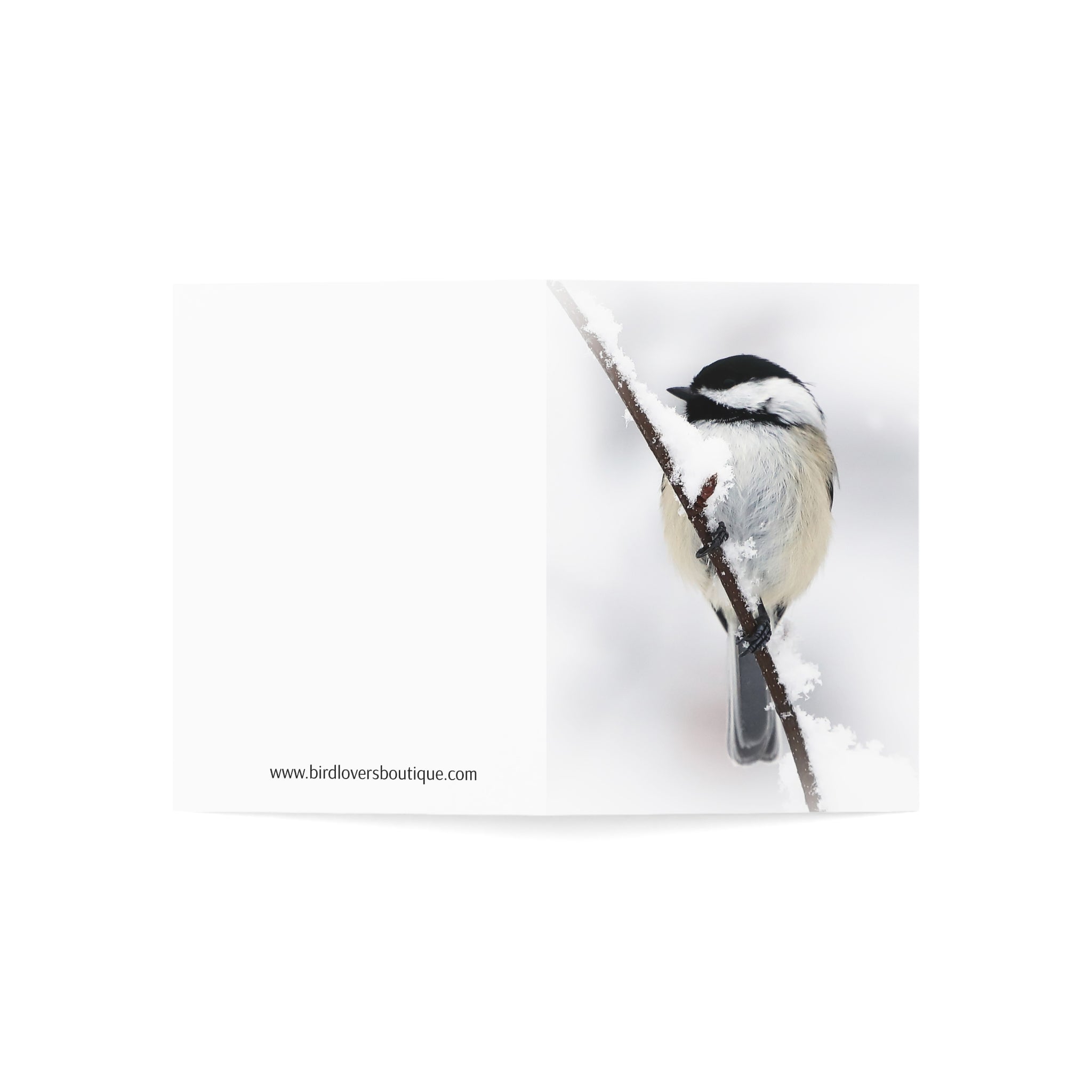 black-capped chickadee greeting card