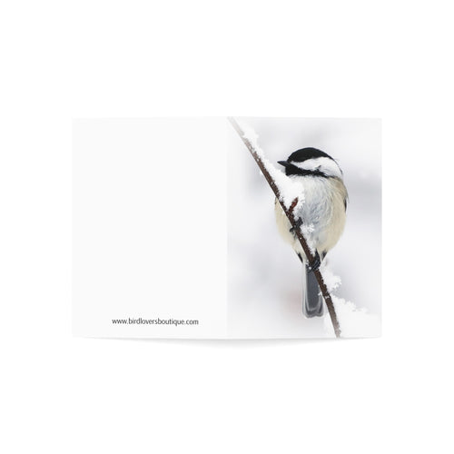 black-capped chickadee greeting card
