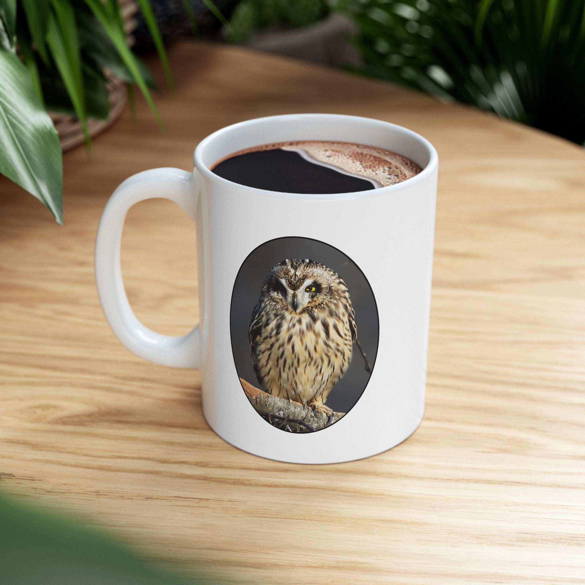 Short-eared Owl - 11oz Mug