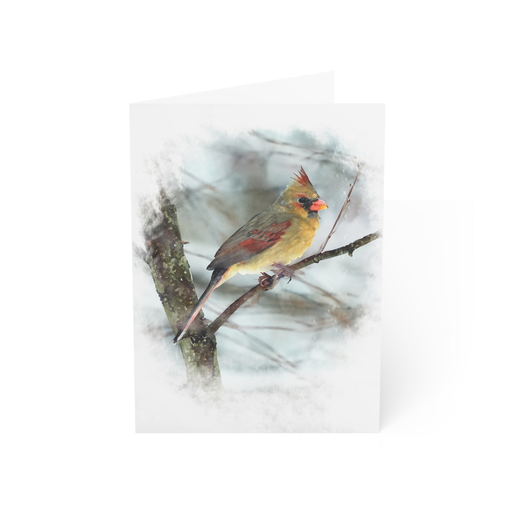 Norther Cardinal Female Painterly - Greeting Cards (1, 10, 30, and 50pcs)