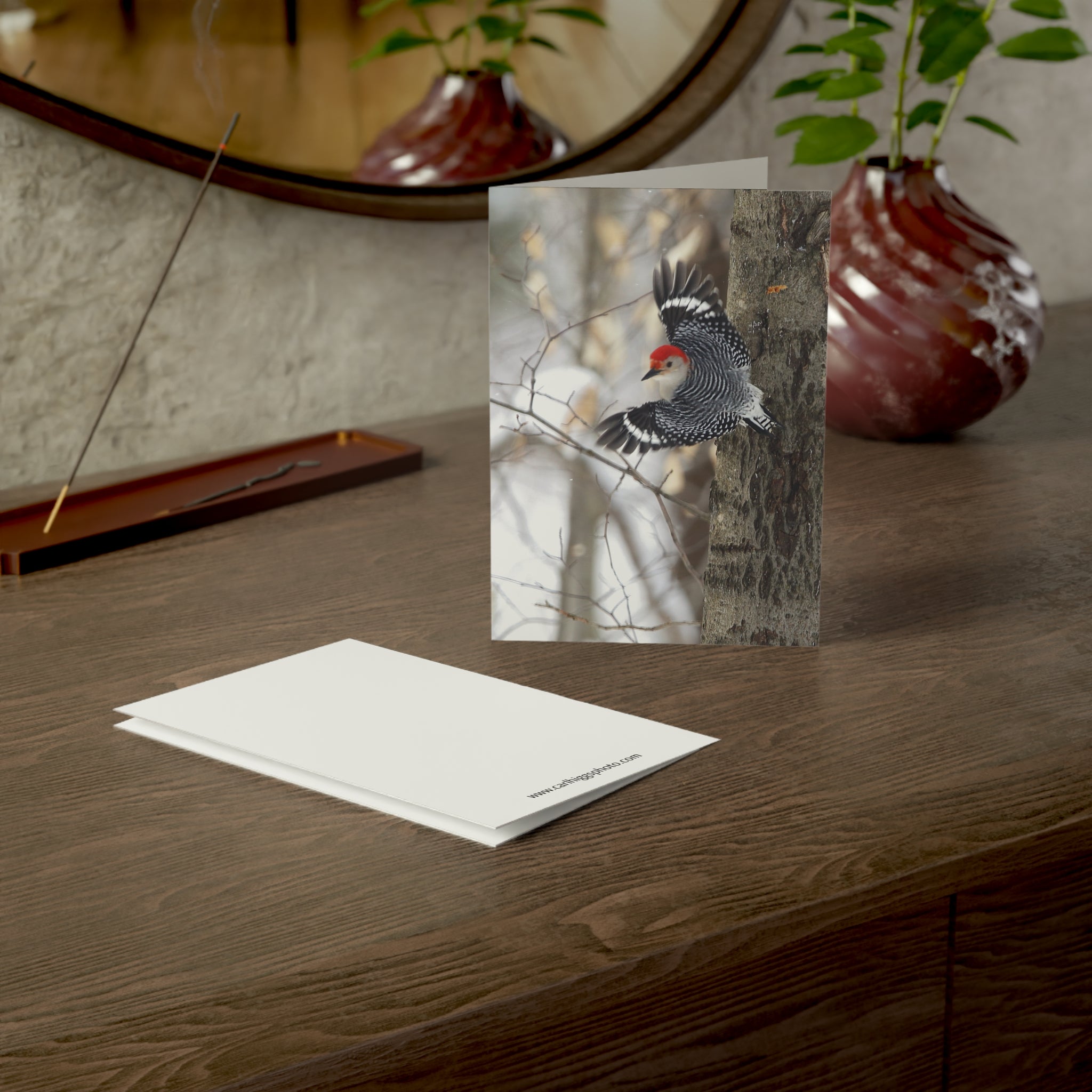 red-bellied woodpecker greeting card