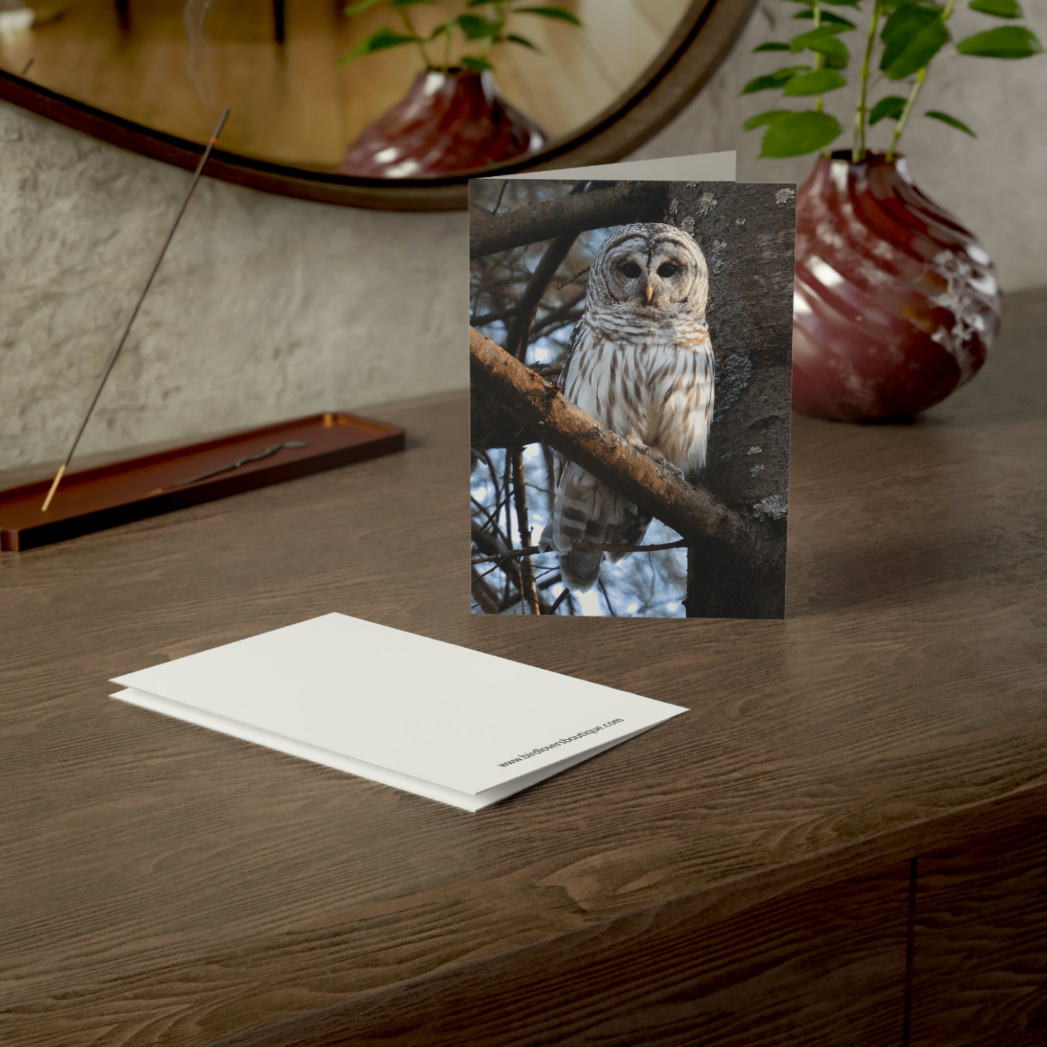 barred owl greeting card