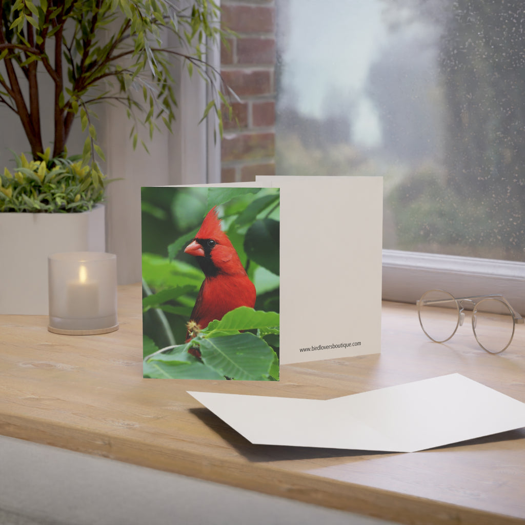 northern cardinal greeting card