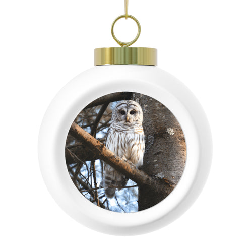 Barred Owl - Christmas Ball Ornament