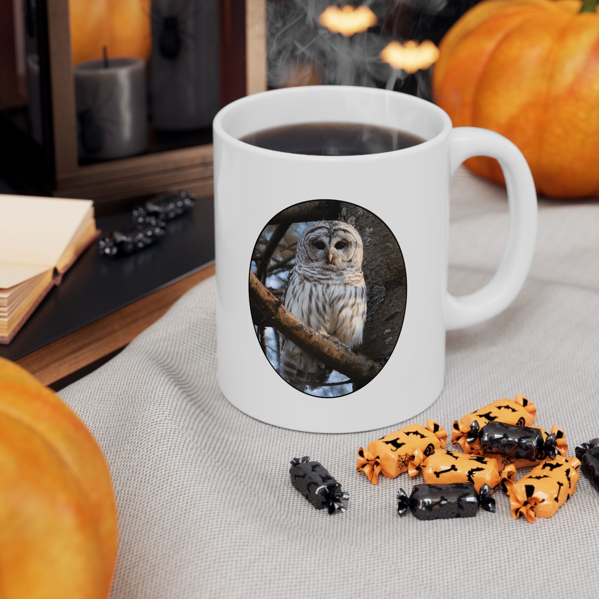 Barred Owl - 11oz Mug