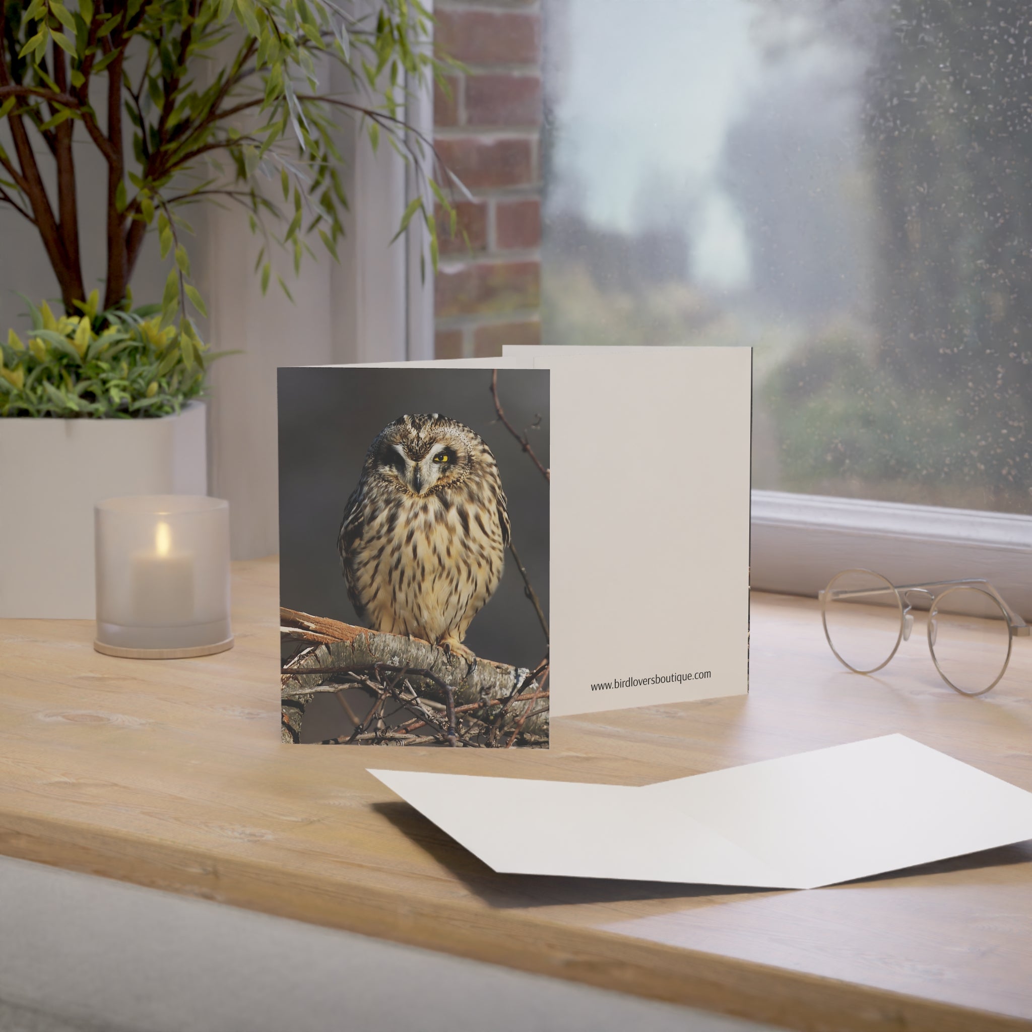 short eared owl greeting card