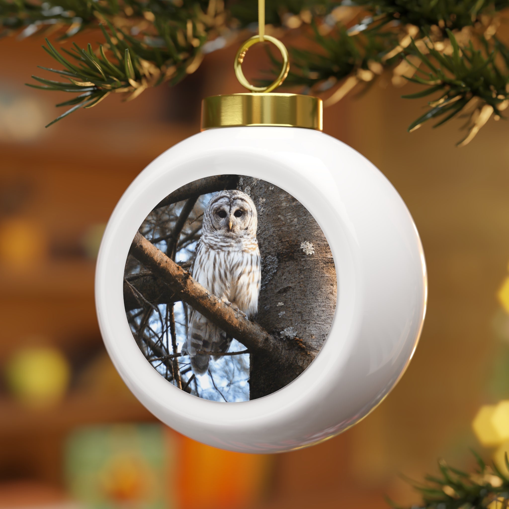 Barred Owl - Christmas Ball Ornament
