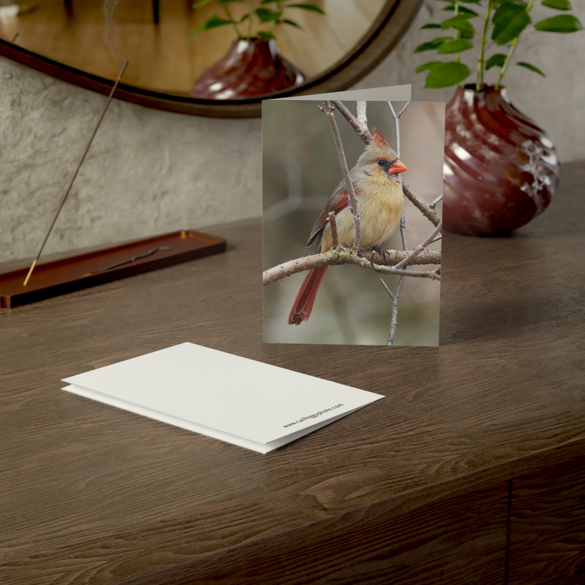 Northern Cardinal Female - Greeting Cards (1, 10, 30, and 50pcs)