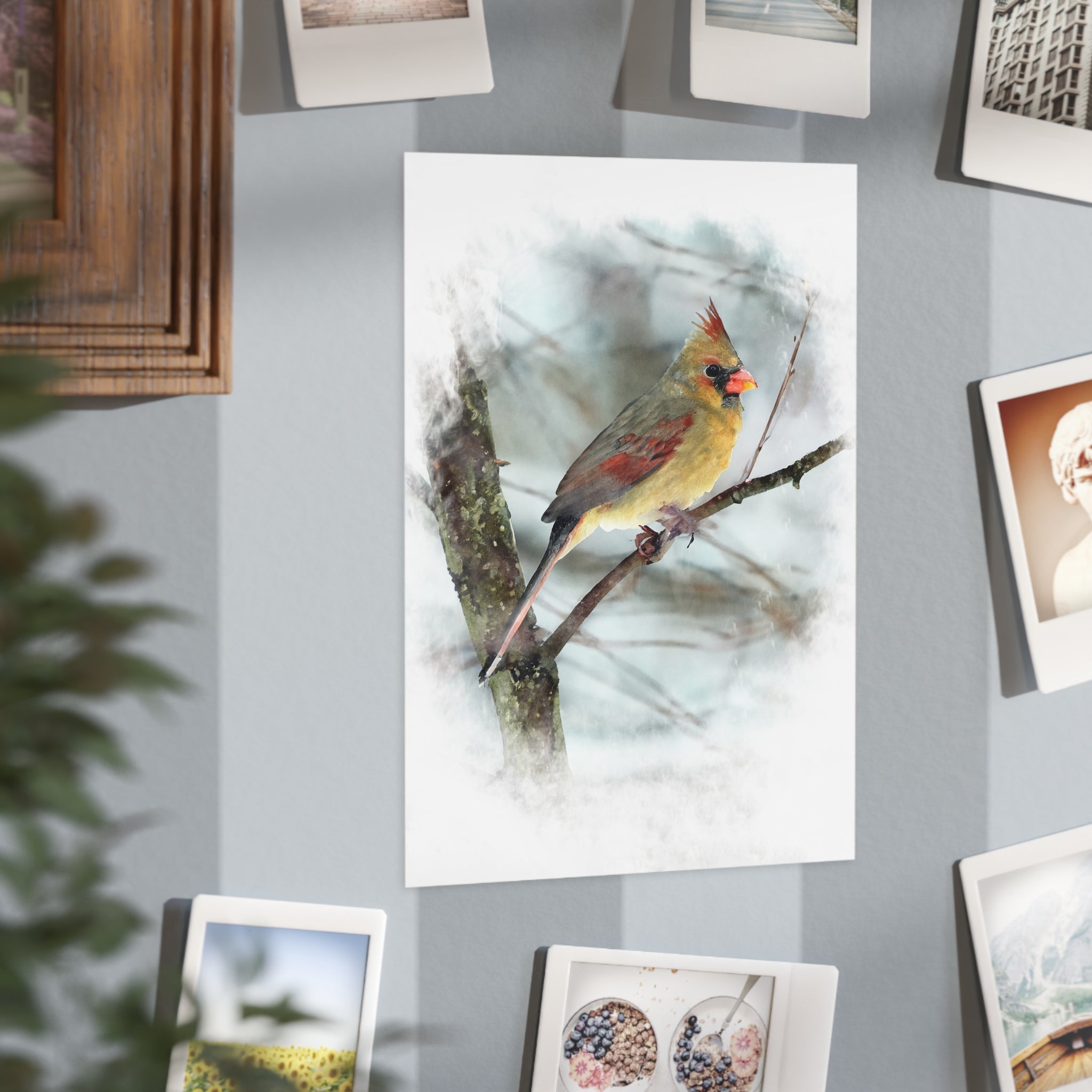 Norther Cardinal Female Painterly - 5x7 Prints