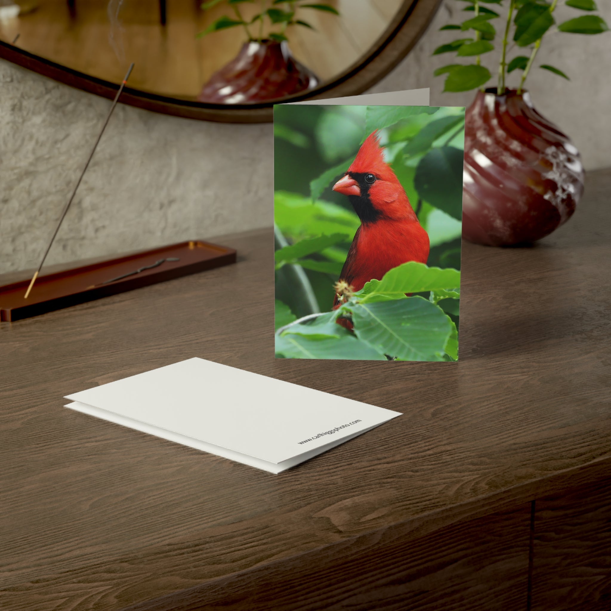 northern cardinal greeting card