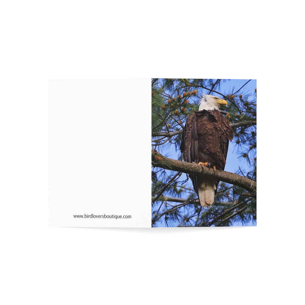 bald eagle greeting card
