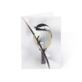black-capped chickadee greeting card