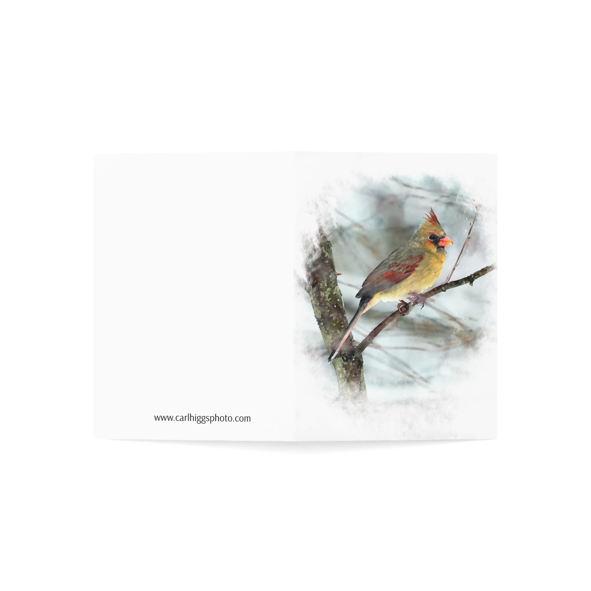 Norther Cardinal Female Painterly - Greeting Cards (1, 10, 30, and 50pcs)
